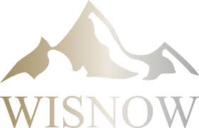 wisnow_assistenza